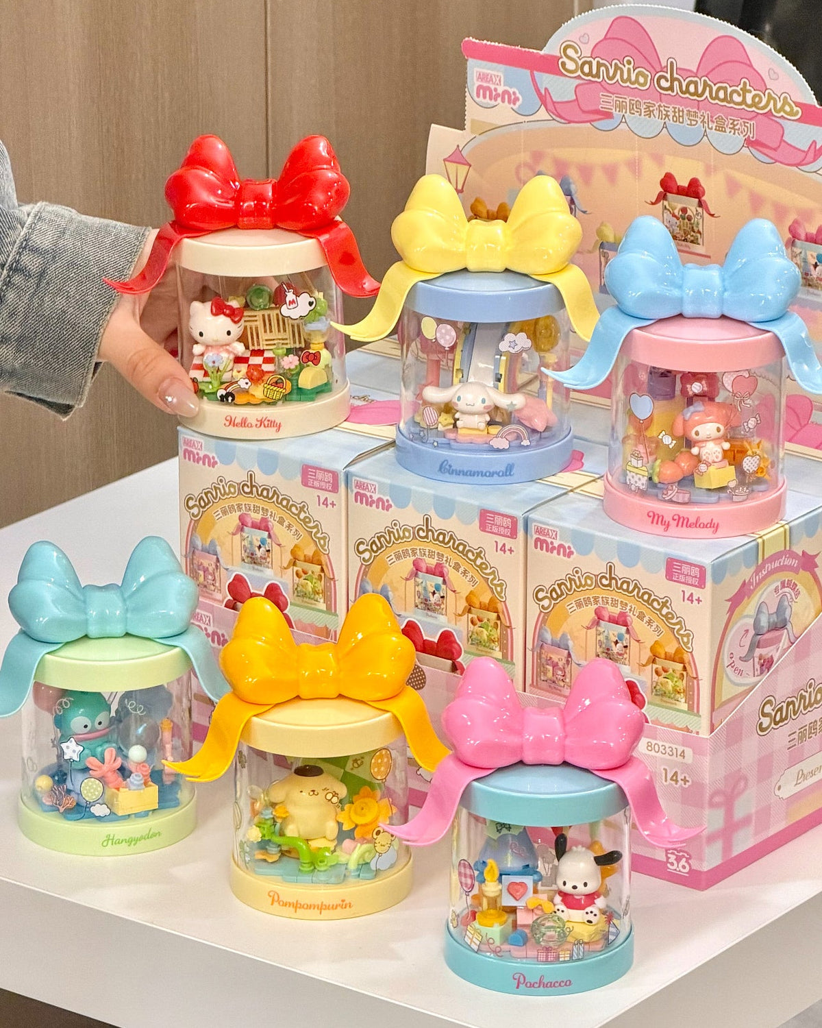 AreaX x Sanrio Characters Present Box Building Blocks